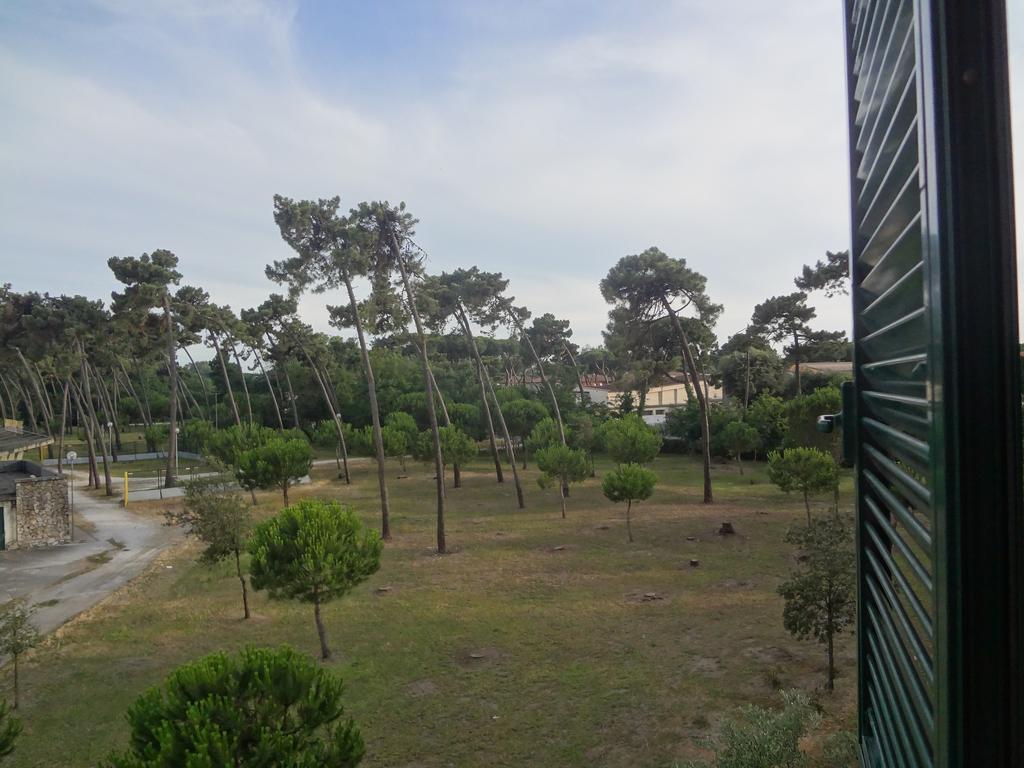 La Pineta Apartment ヴィアレッジョ エクステリア 写真